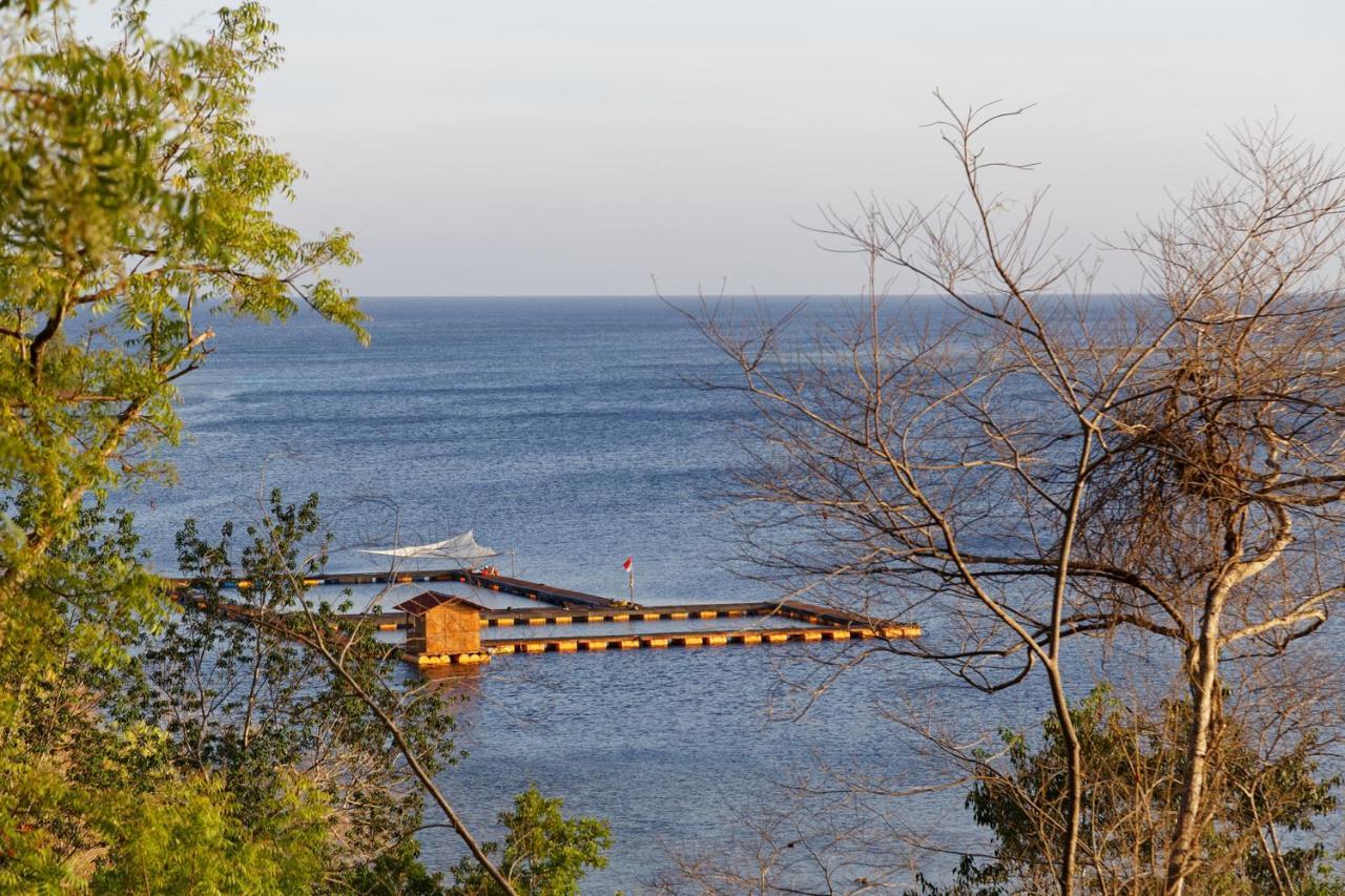 Menjangan Ecolodge - Chse Certified Banyuwedang Exterior foto